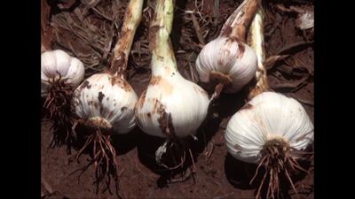 /pf/resources/images/abc-placeholder.png?d=2420