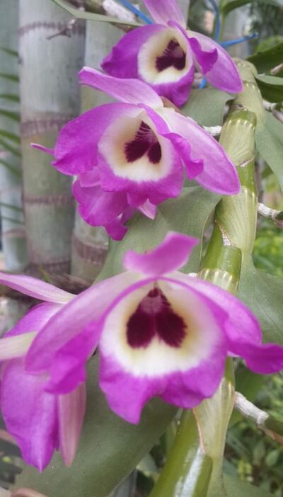 /pf/resources/images/abc-placeholder.png?d=2395