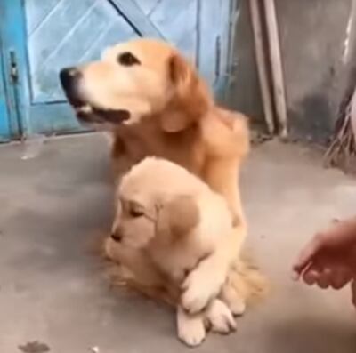 /pf/resources/images/abc-placeholder.png?d=2420