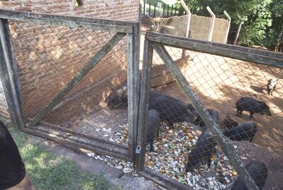 /pf/resources/images/abc-placeholder.png?d=2422