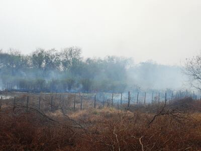 Sigue el "sobre-gasto" ecológico a expensas de los recursos naturales.