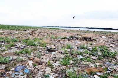 Bolsas de polietileno, cubiertas, latas, restos de calzados y ropa, troncos de árboles y otros desechos se observan en la playa.
