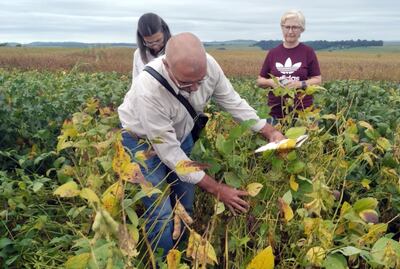 Simona Cavazzutti (fondo) titular del Inbio, junto al Ing. Aníbal Morel y la Ing. Estela Ojeda mirando parcelas de soja.