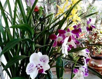 /pf/resources/images/abc-placeholder.png?d=2437