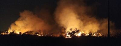 El incendio ocurrido ayer en la tarde por la quema de basura destruyó parte de la vegetación de la zona de Surubi’i, en Limpio.
