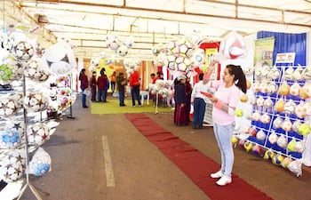 los-organizadores-de-la-expo-pelotas-esperan-que-la-actividad-se-constituya-en-una-tradicion-en-el-distrito--221847000000-1740013.jpg