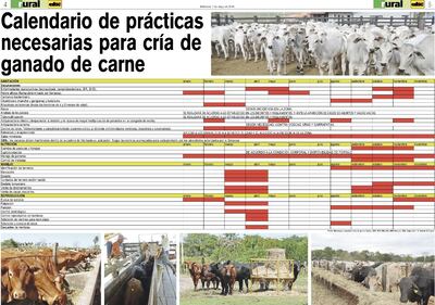 /pf/resources/images/abc-placeholder.png?d=2419