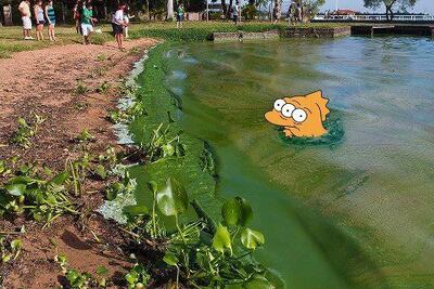 /pf/resources/images/abc-placeholder.png?d=2433