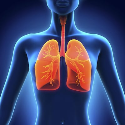 /pf/resources/images/abc-placeholder.png?d=2437