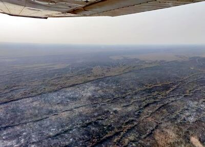 Las reservas del Pantanal paraguayo quedaron reducidas a cenizas tras los incendios.