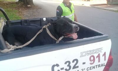 /pf/resources/images/abc-placeholder.png?d=2429