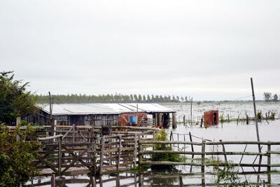 /pf/resources/images/abc-placeholder.png?d=2437