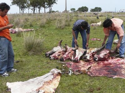 /pf/resources/images/abc-placeholder.png?d=2395