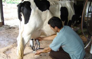 leche-con-garantia-de-calidad-90248000000-1591558.JPG