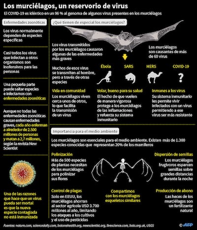 LOS MURCIÉLAGOS, UN RESERVORIO DE VIRUS