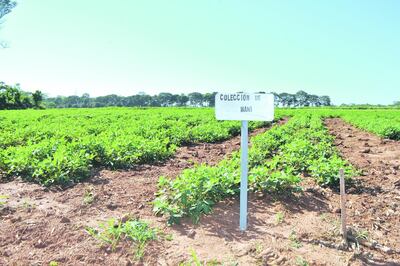 /pf/resources/images/abc-placeholder.png?d=2419