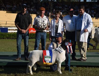 Imagen sin descripción