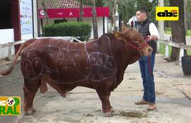 Programa 5: Control Unión