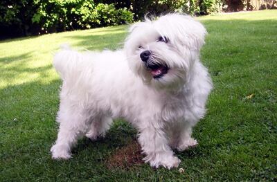 Imagen sin descripción