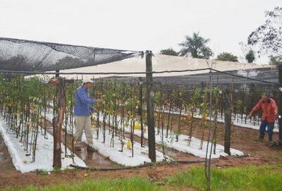 /pf/resources/images/abc-placeholder.png?d=2398