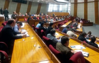 Participantes de la audiencia pública de ayer coincidieron en dos cosas: que el acta bilateral es nocivo para el país y que debemos  luchar por la libre disponibilidad de su energía en el 2023.