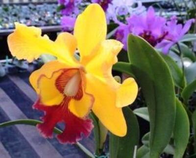 /pf/resources/images/abc-placeholder.png?d=2395