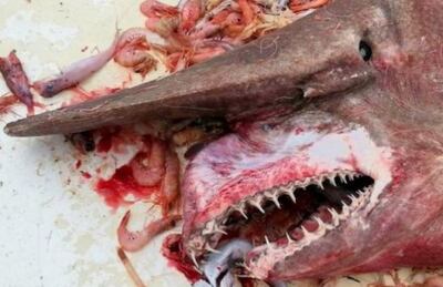 /pf/resources/images/abc-placeholder.png?d=2421