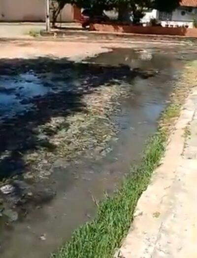 /pf/resources/images/abc-placeholder.png?d=2395