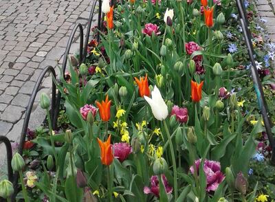 /pf/resources/images/abc-placeholder.png?d=2425