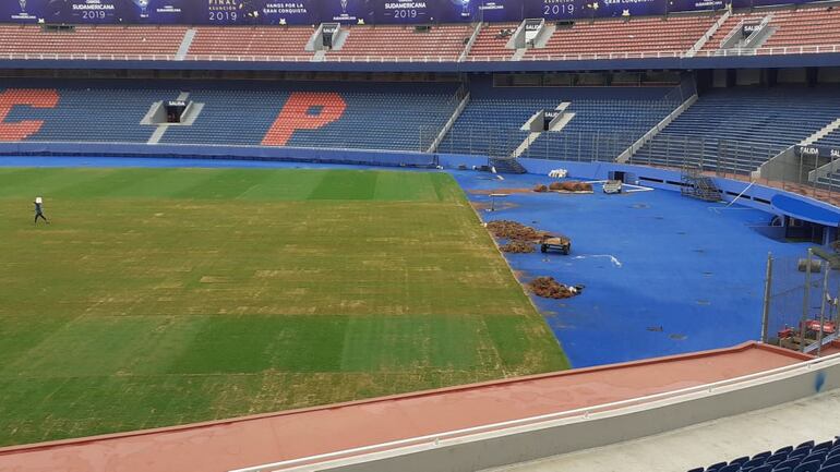 La Nueva Olla, césped, Copa Sudamericana.