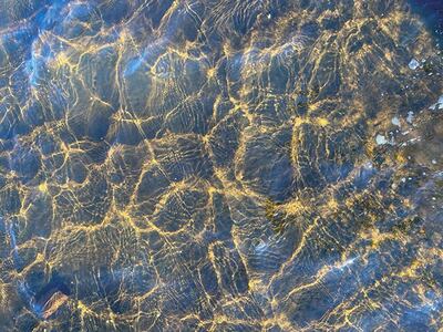 El lago en su pura naturaleza