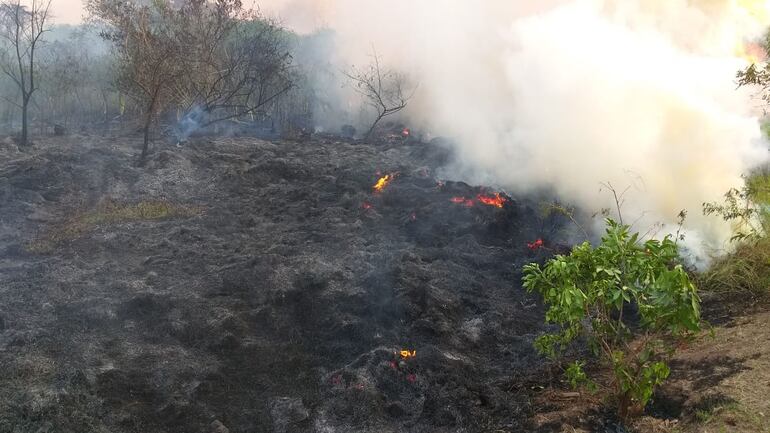 Incendio en el Parque Guasu Metropolitano.
