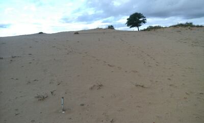 /pf/resources/images/abc-placeholder.png?d=2394