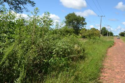 /pf/resources/images/abc-placeholder.png?d=2395