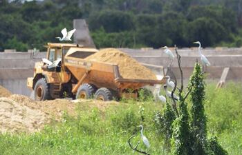 una-bandada-de-garzas-blancas-migratorias-y-mbigua-tradicionales-de-la-zona-sobrevuelan-en-torno-a-las-obras-de-la-costanera-en-medio-de-las-maquinas-214219000000-1559268.jpg