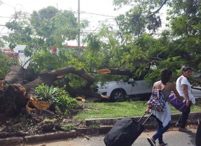 /pf/resources/images/abc-placeholder.png?d=2397