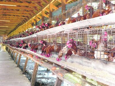 Imagen sin descripción