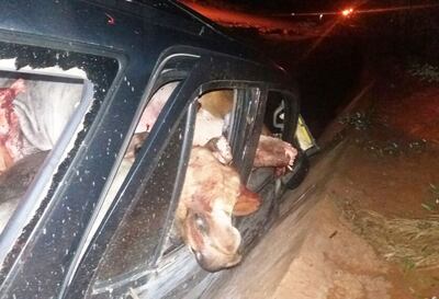 /pf/resources/images/abc-placeholder.png?d=2395