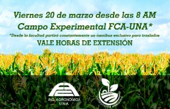 dia-de-campo-de-la-produccion-agricola-123702000000-1308092.png