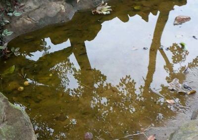 /pf/resources/images/abc-placeholder.png?d=2419