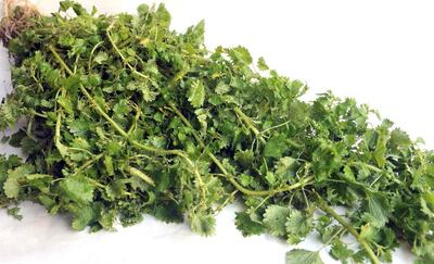 /pf/resources/images/abc-placeholder.png?d=2425