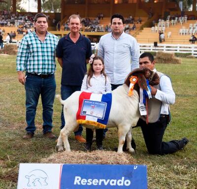Boer, reservada de gran campeona.