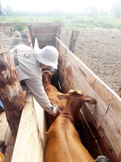 Este año los vacunadores recibieron una capacitación diferenciada.