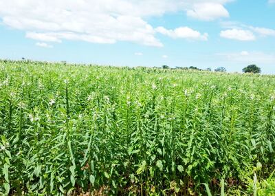 /pf/resources/images/abc-placeholder.png?d=2421