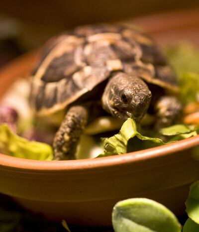 /pf/resources/images/abc-placeholder.png?d=2421