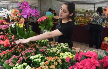 arranco-la-feria-de-primavera-2018-101333000000-1757290.jpg