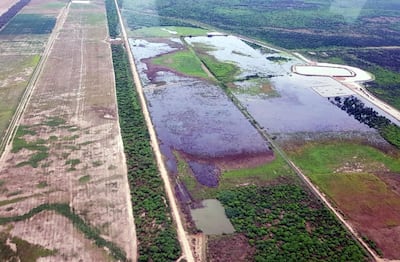 /pf/resources/images/abc-placeholder.png?d=2394