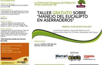 manejo-de-eucaliptos-en-aserraderos-125246000000-1615897.jpg