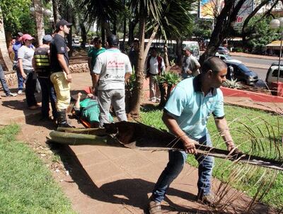 /pf/resources/images/abc-placeholder.png?d=2393