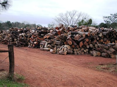 Urge aplicar prácticas sostenibles de producción, consumo y desecho.